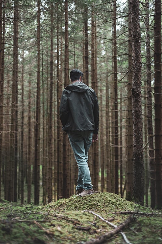 lukas forest