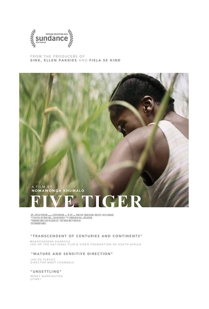 five tiger poster
